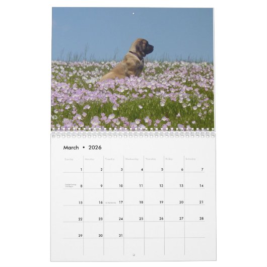 Mastiff-kalender Kalender (Mar 2026)