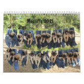 Mastiff-kalender Kalender (Hoes)