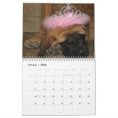 Mastiff-kalender Kalender (Jan 2026)