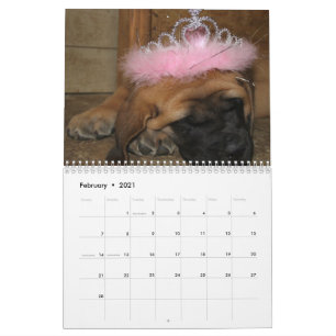 Mastiff-kalender Kalender