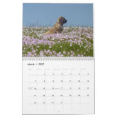 Mastiff-kalender Kalender (Mar 2027)