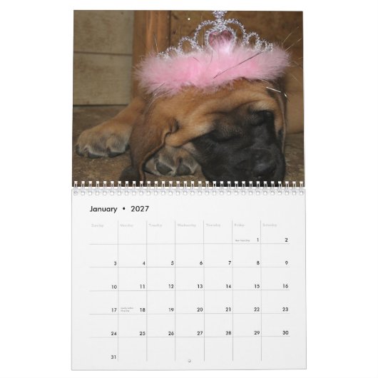 Mastiff-kalender Kalender (Jan 2027)