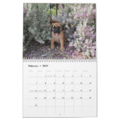 Mastiff-kalender Kalender (Feb 2027)