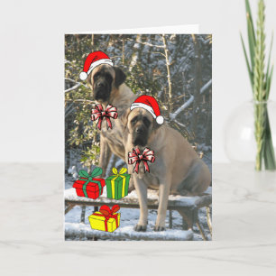 Mastiff-kerstkaart Feestdagen Kaart