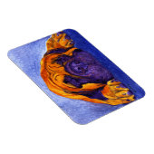 Mastiff magneet - "Brutus" (Rechterzijde)