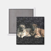 Mastiff Magnet (Voorkant / Achterkant)