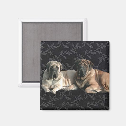Mastiff Magnet (Voorkant / Achterkant)