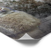 Mastiff met klein konijnenPoster Poster (Hoek)