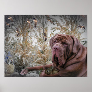 Mastiff met klein konijnenPoster Poster