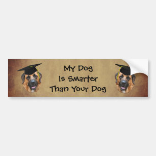 Mastiff Mijn Hond Is Slimmer Dan Grappig Bumpersticker