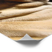 Mastiff Pair Poster (Hoek)