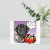 Mastiff (pluizig) Halloween Snoep Briefkaart (Staand voorkant)