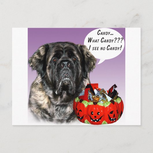 Mastiff (pluizig) Halloween Snoep Briefkaart (Voorkant)