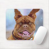 Mastiff Plus Muismat (Met muis)