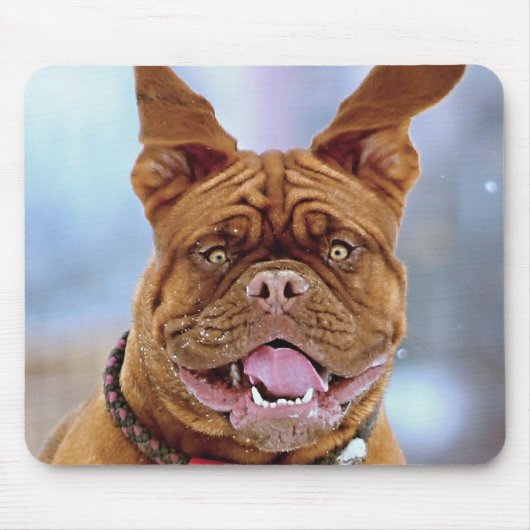 Mastiff Plus Muismat (Voorkant)