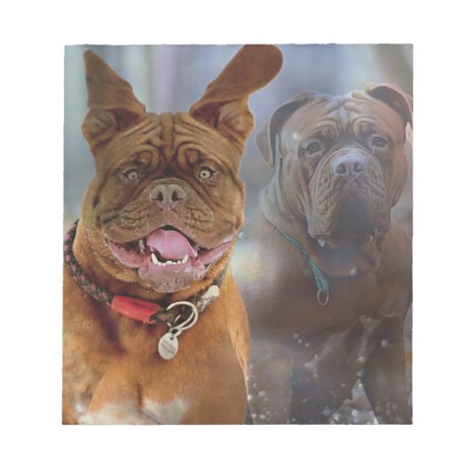 Mastiff Plus Notitieblok (Voorkant)