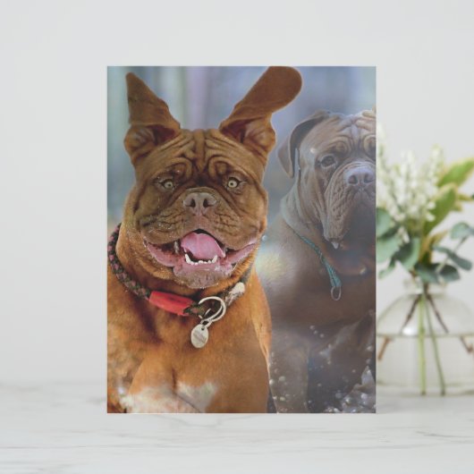 Mastiff Plus-papier (Staand voorkant)