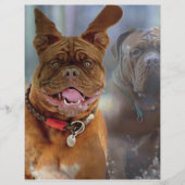 Mastiff Plus-papier (Voorkant)