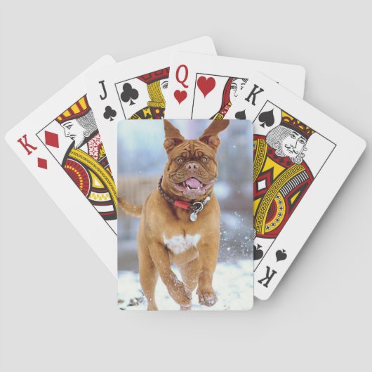 Mastiff Plus Pokerkaarten (Achterkant)