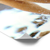 Mastiff Plus Poster (Hoek)