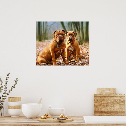 Mastiff Plus Poster (Keuken)