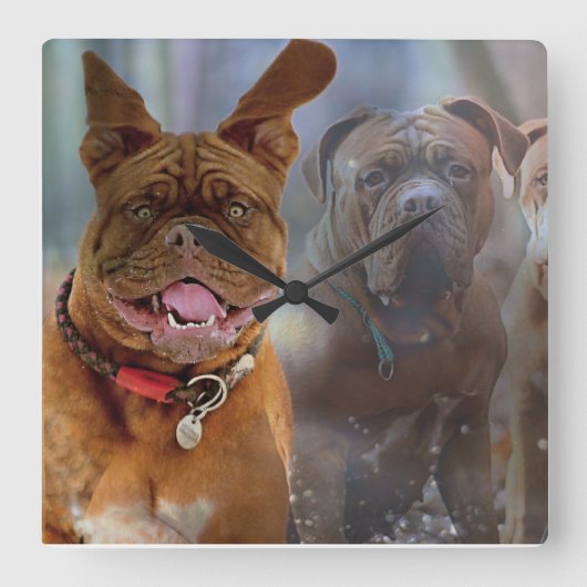 Mastiff Plus Vierkante Klok (Voorkant)