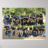 Mastiff-Poster Poster (Voorkant)