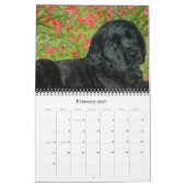 Mastiff Puppies Kalender (Feb 2027)