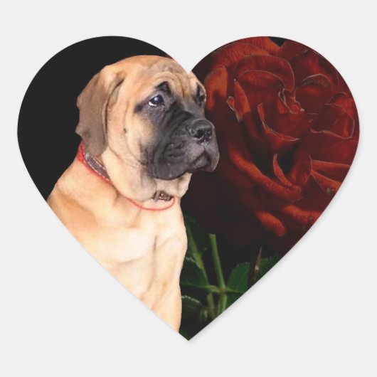 Mastiff puppy en roos hart stickers (Voorkant)