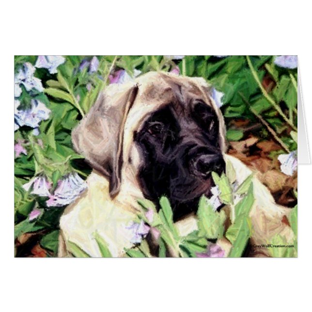 Mastiff puppy in bluebells (Voorkant Horizontaal)