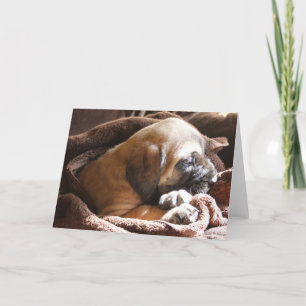Mastiff Puppy "Miss You" kaart