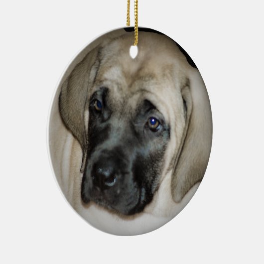 Mastiff Puppy Ornament (Rechts)