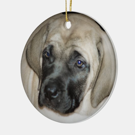 Mastiff Puppy Ornament (Links)