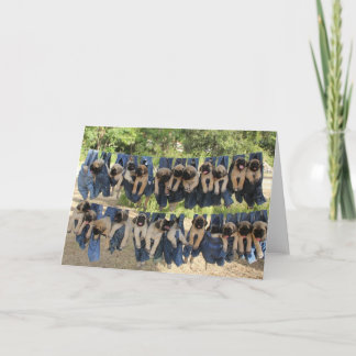 Mastiff puppy wenskaart kaart