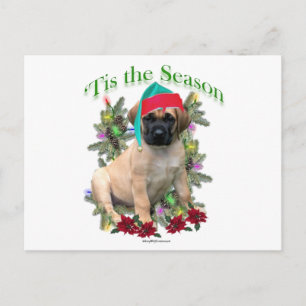 Mastiff "Tis Briefkaart
