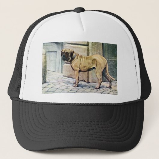Mastiff Trucker Pet (Voorkant)