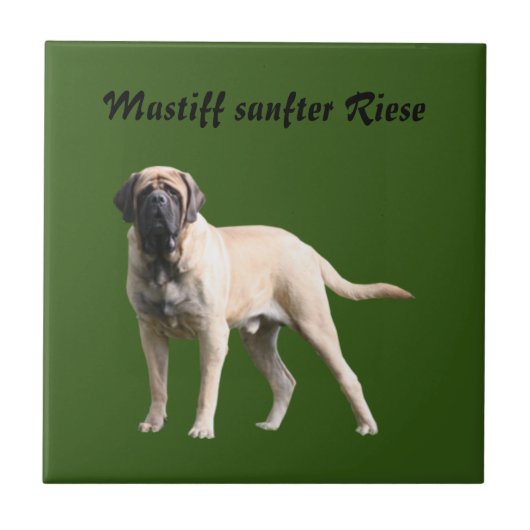 Mastiff Urlaub English Mastiff Tegeltje (Voorkant)