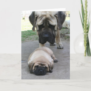 Mastiff vader en puppy Fathers Day Card Kaart