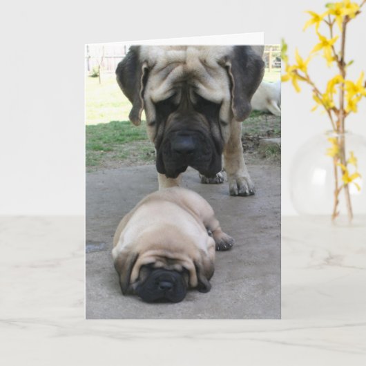 Mastiff vader en puppy Vaderdag Kaart (Gele Bloem)