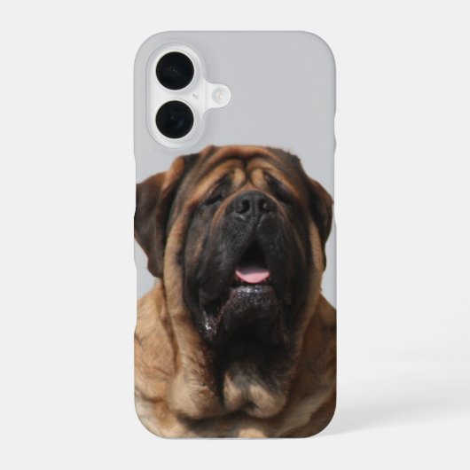 Mastiff Vakantie Engelse Mastiff iPhone 16 Hoesje (Achterkant)