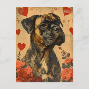 Mastiff  Valentijnsdag Briefkaart