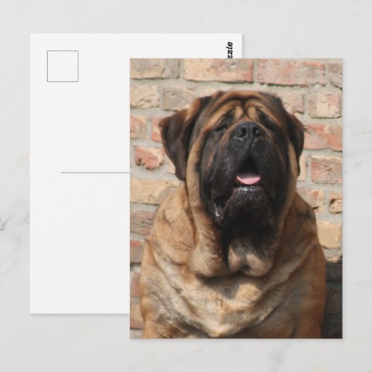 Mastiff Vatertag Best Friends  Briefkaart (Voorkant / Achterkant)