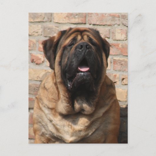 Mastiff Vatertag Best Friends  Briefkaart (Voorkant)