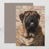 Mastiff Vatertag Best Friends Kaart (Voorkant / Achterkant)