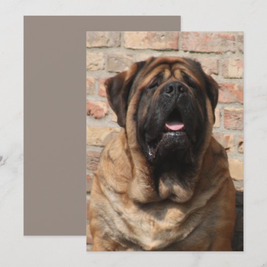 Mastiff Vatertag Best Friends Kaart (Voorkant / Achterkant)