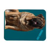 Mastiff Vatertag Best Friends  Magneet (Horizontaal)