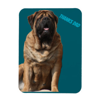 Mastiff Vatertag Best Friends  Magneet