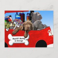 Mastiff-verplaatsing en -opslag