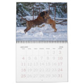 Mastiffs Calendar Kalender (Jan 2026)
