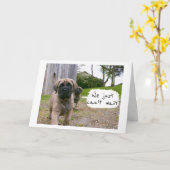 MASTIFF'S KUNNEN NIET WACHTEN *HAPPY BIRTHDAY* KAART (Gele Bloem)